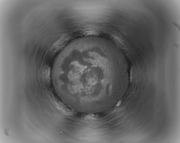 X0000100420550200806131101