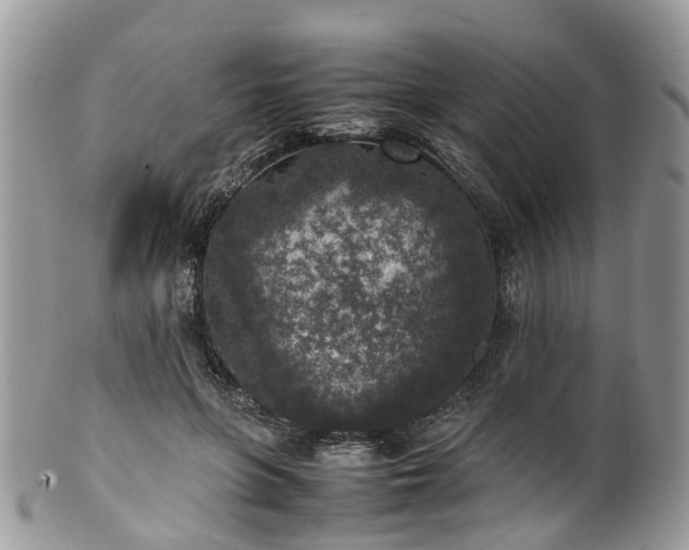 X0000100420551200806131101