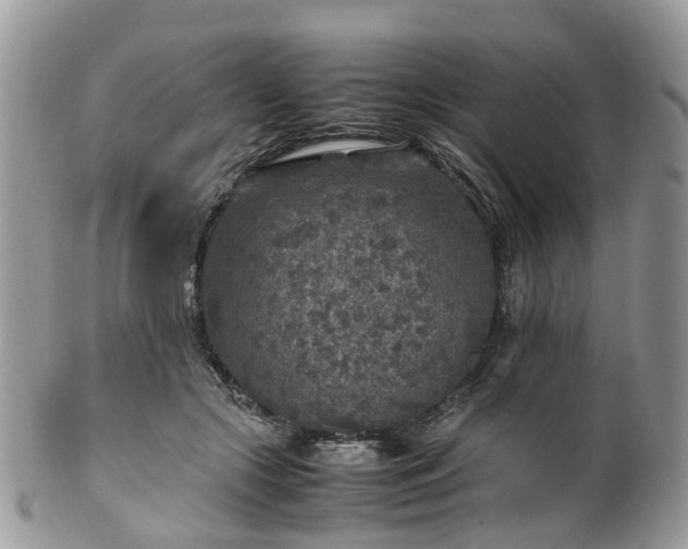 X0000100420553200806131101
