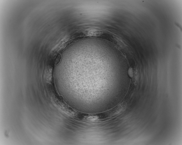 X0000100420554200806131101