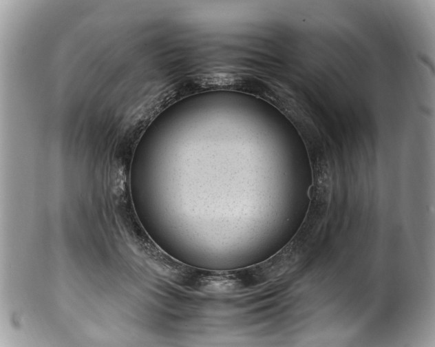 X0000100420555200806131101