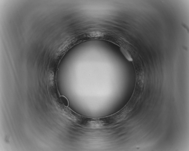 X0000100420556200806131101