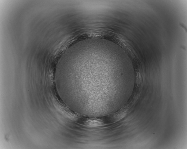 X0000100420557200806131101
