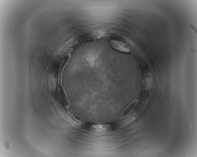 X0000100420558200806131101