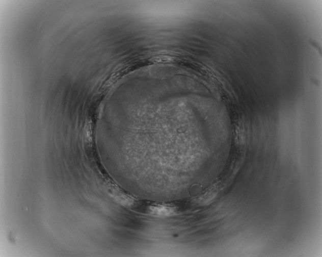 X0000100420561200806131101