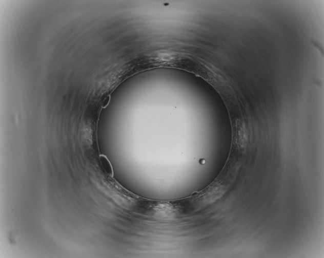 X0000100420562200806131101