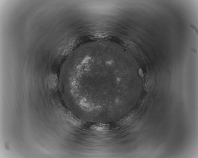 X0000100420563200806131101
