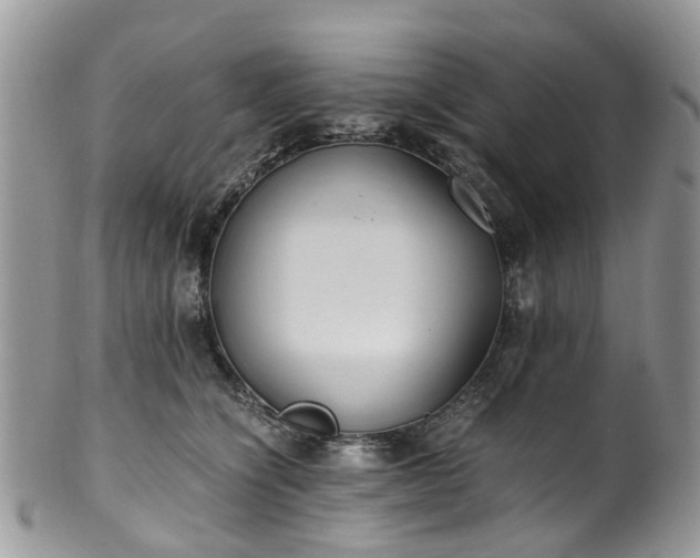 X0000100420564200806131101