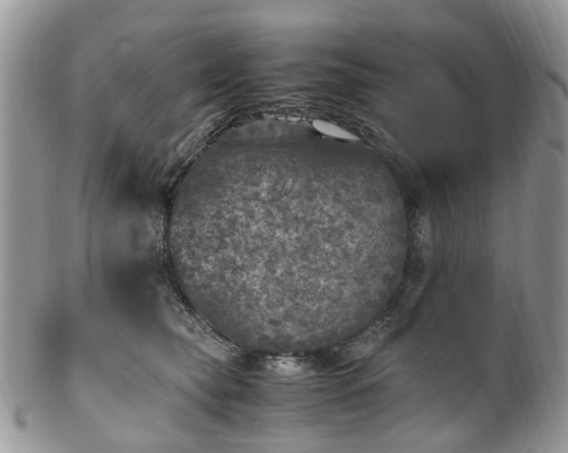 X0000100420565200806131101