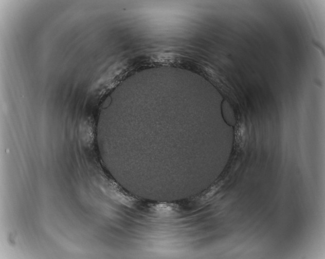 X0000100420566200806131101