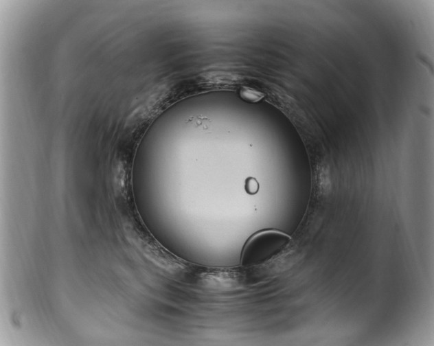 X0000100420567200806131101