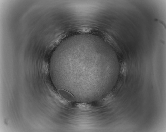 X0000100420568200806131101