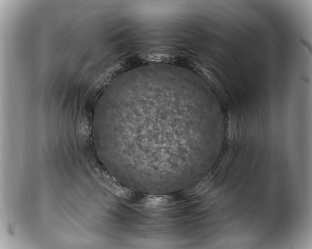 X0000100420569200806131101