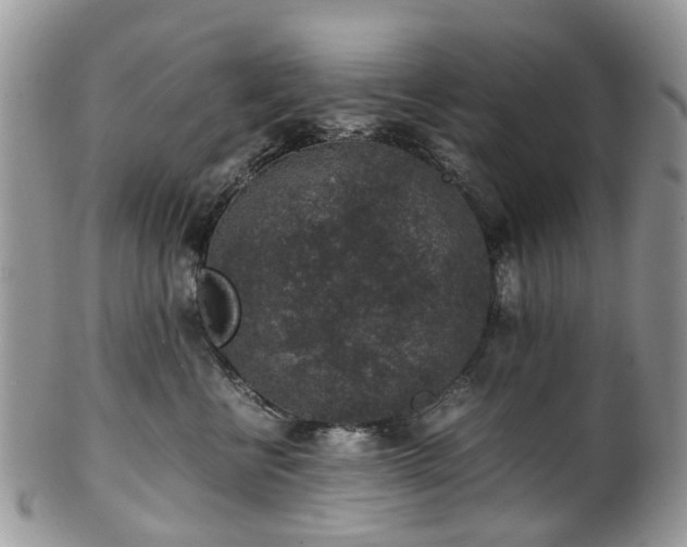 X0000100420570200806131101
