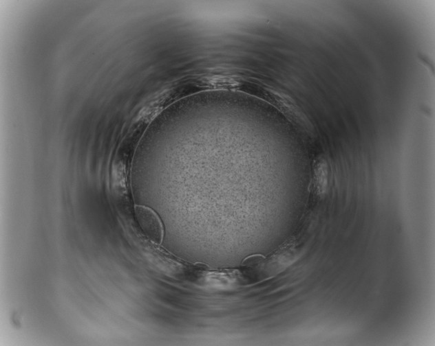 X0000100420571200806131101