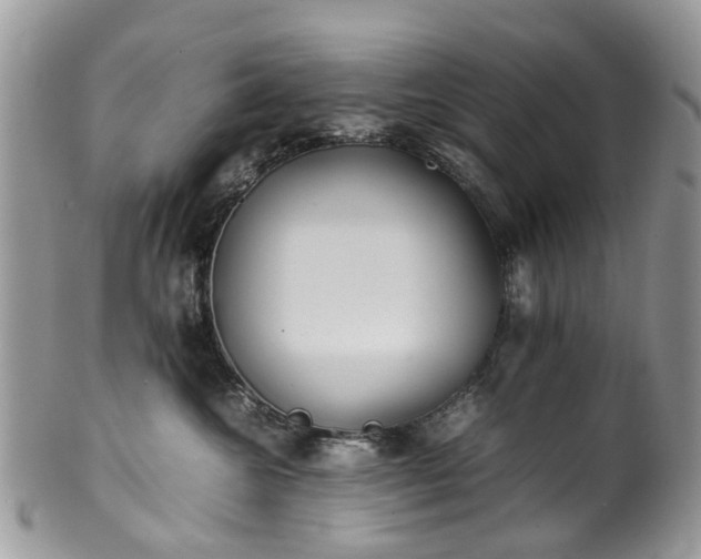 X0000100420572200806131101