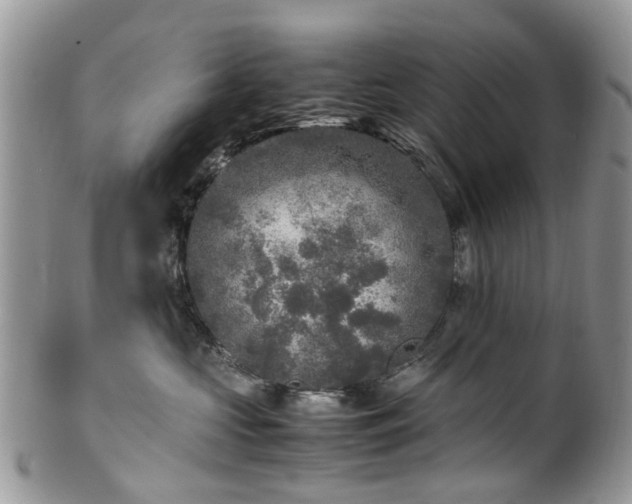 X0000100420573200806131101