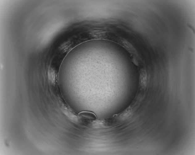 X0000100420574200806131101
