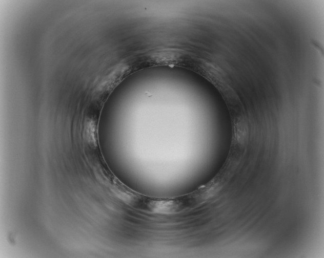 X0000100420575200806131101
