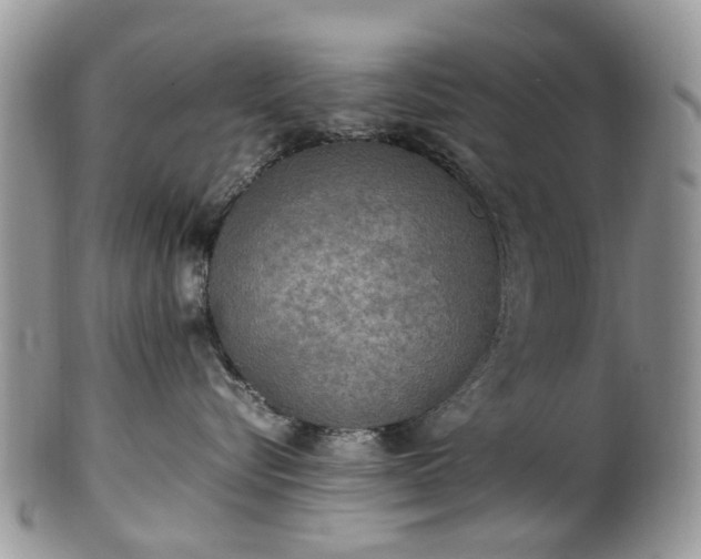X0000100420576200806131101