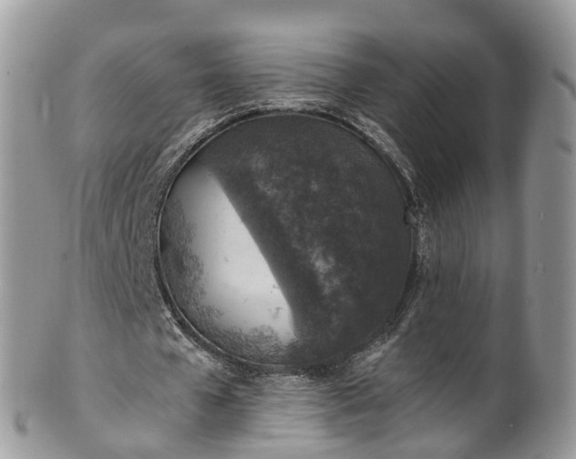 X0000100420577200806131101