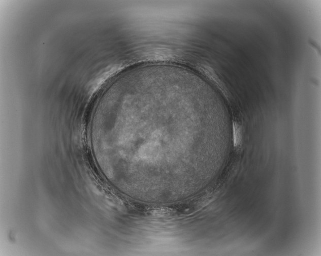 X0000100420579200806131101