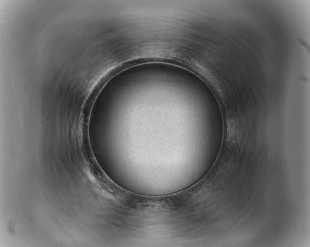 X0000100420580200806131101