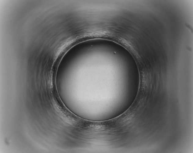 X0000100420582200806131101