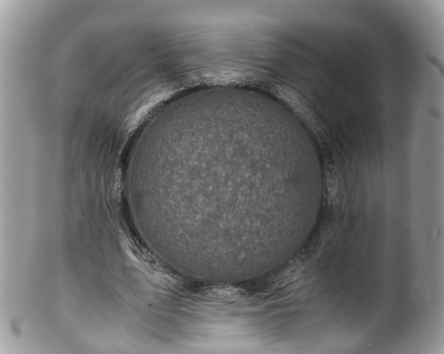 X0000100420583200806131101
