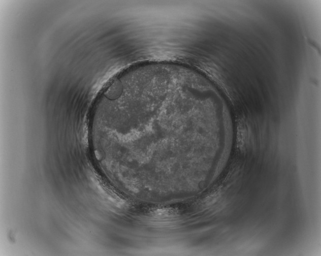 X0000100420584200806131101