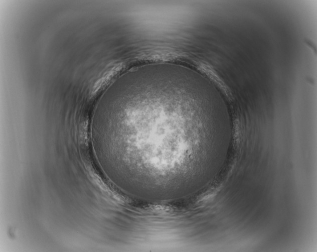 X0000100420585200806131101