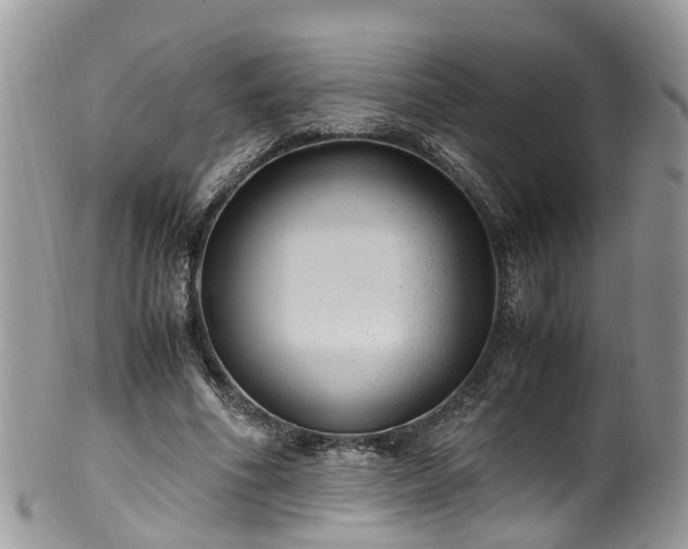 X0000100420586200806131101