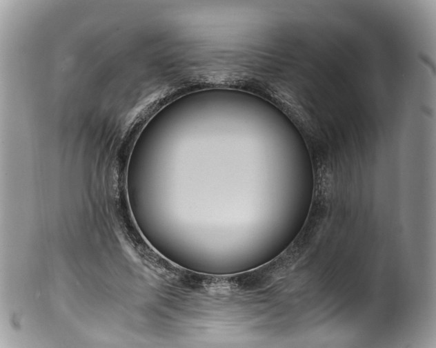 X0000100420587200806131100