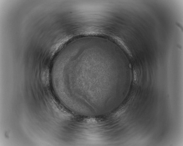 X0000100420588200806131100
