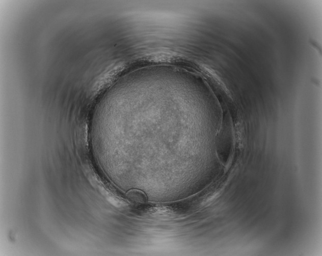 X0000100420589200806131100