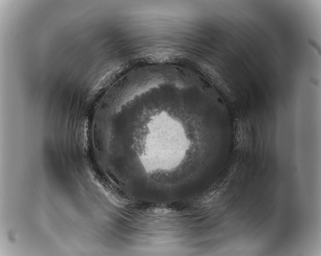 X0000100420590200806131100
