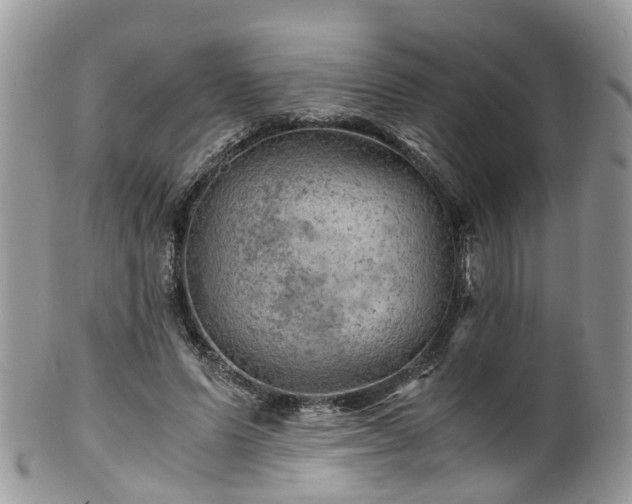 X0000100420591200806131100