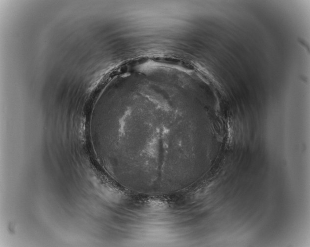 X0000100420592200806131100