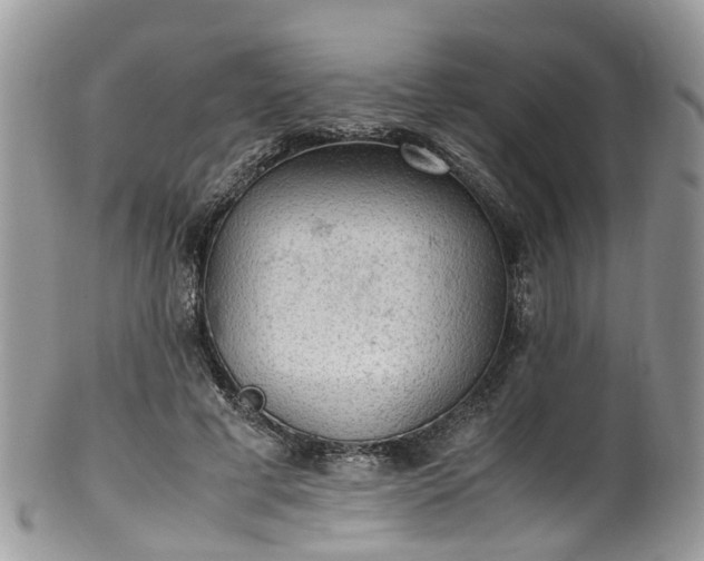 X0000100420593200806131100