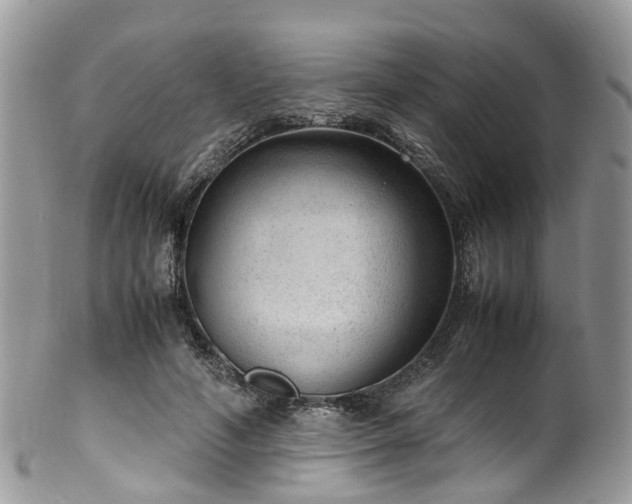 X0000100420594200806131100