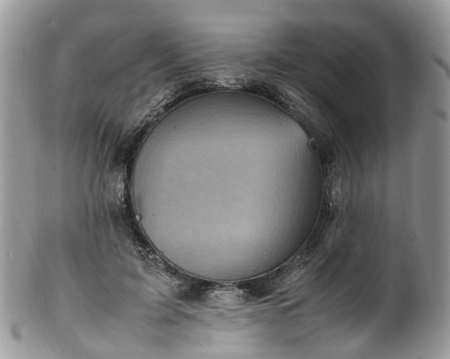 X0000100420595200806131100