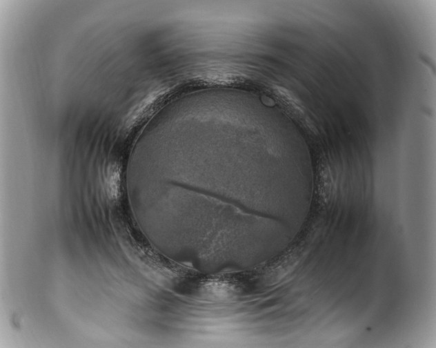 X0000100420596200806131100