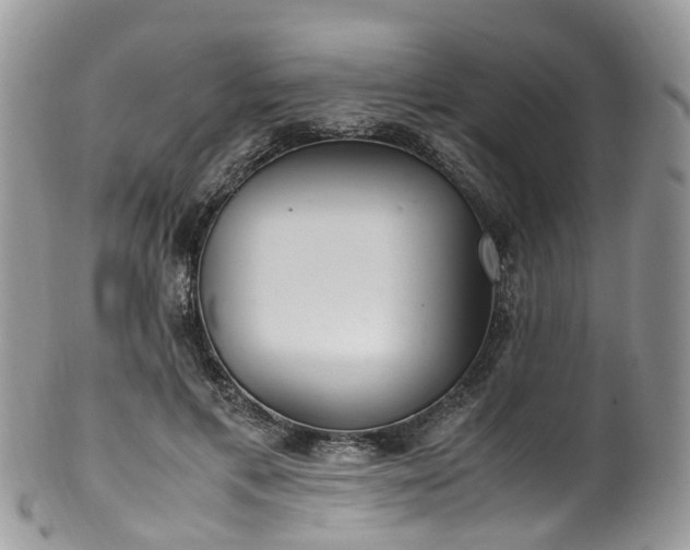 X0000100420597200806131100