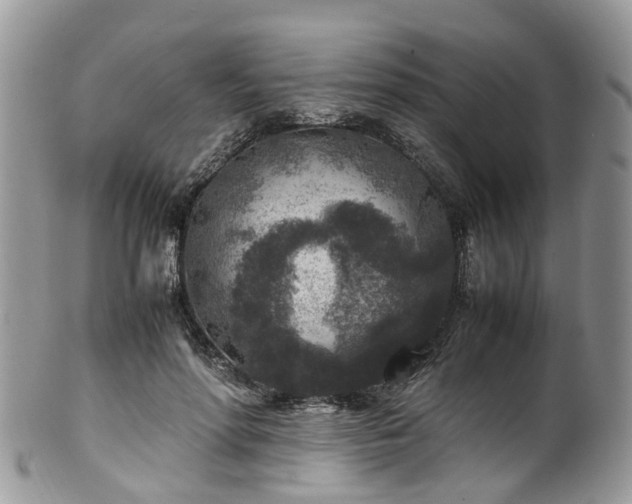 X0000100420598200806131100