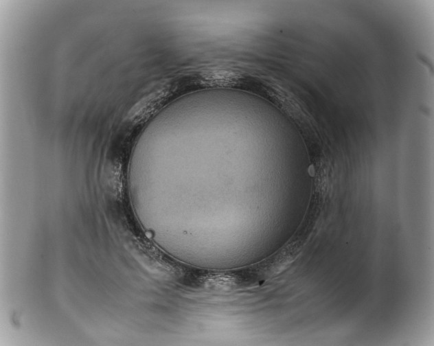 X0000100420599200806131100