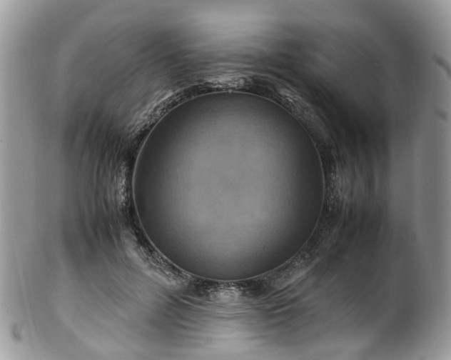 X0000100420600200806131100