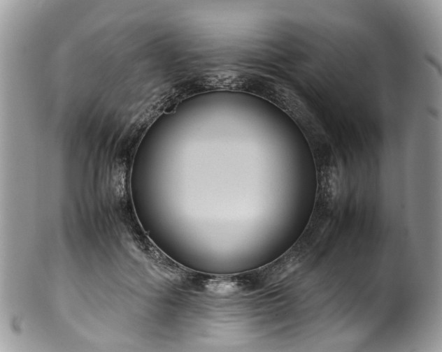 X0000100420602200806131100