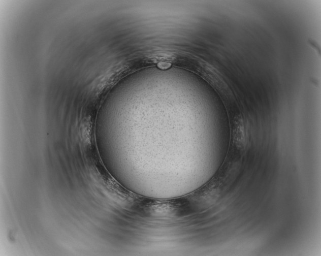 X0000100420604200806131100