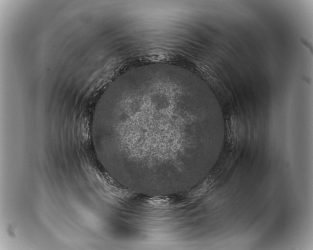 X0000100420606200806131100