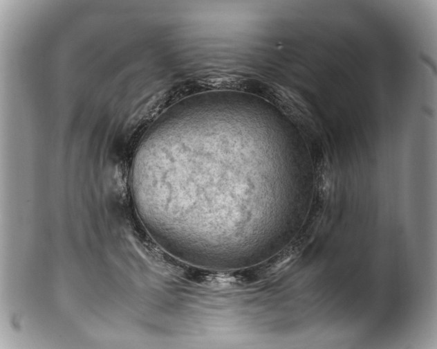 X0000100420607200806131100